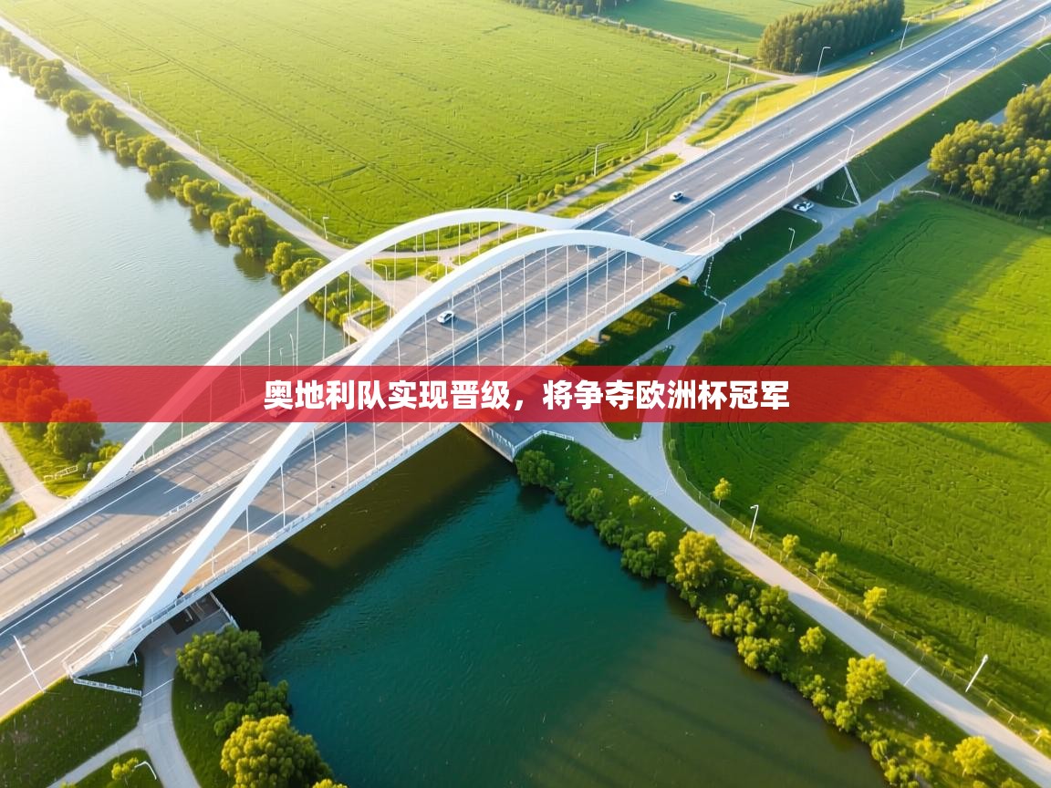 奥地利队实现晋级,将争夺欧洲杯冠军 第2张