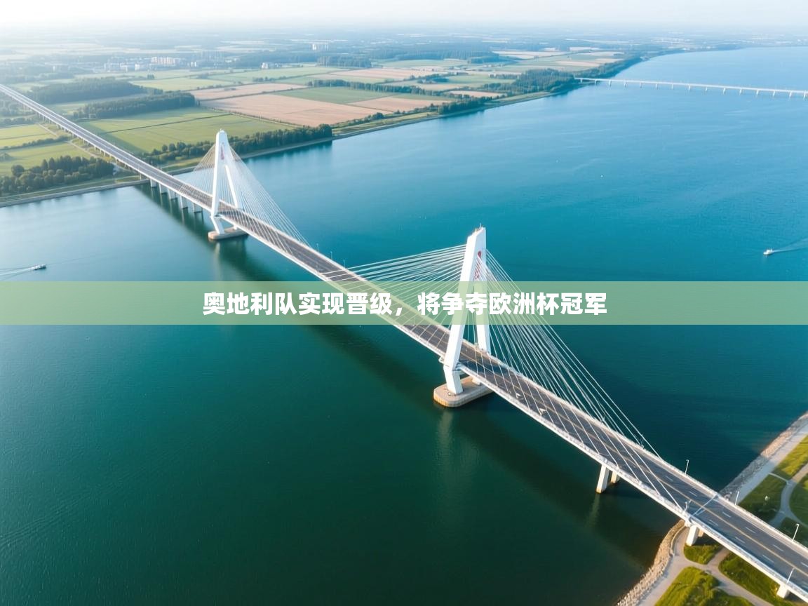 奥地利队实现晋级,将争夺欧洲杯冠军 第1张