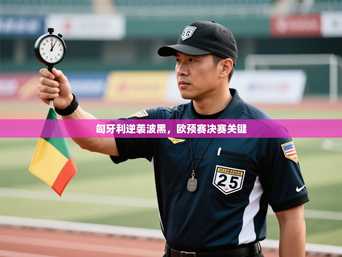 匈牙利逆袭波黑,欧预赛决赛关键 第1张