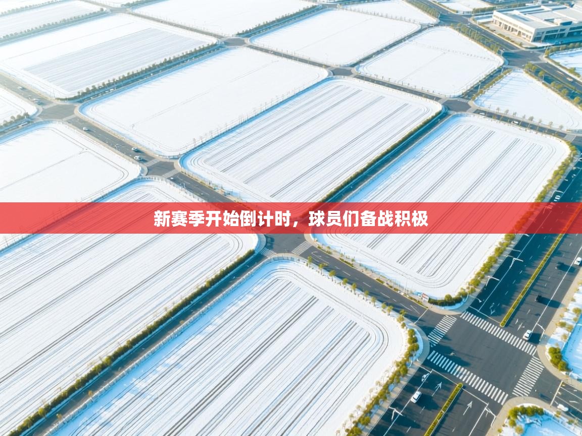 新赛季开始倒计时，球员们备战积极  第1张