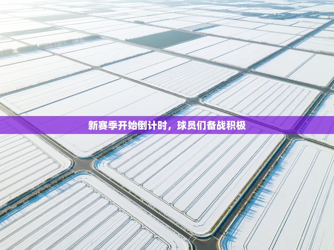 新赛季开始倒计时，球员们备战积极  第2张