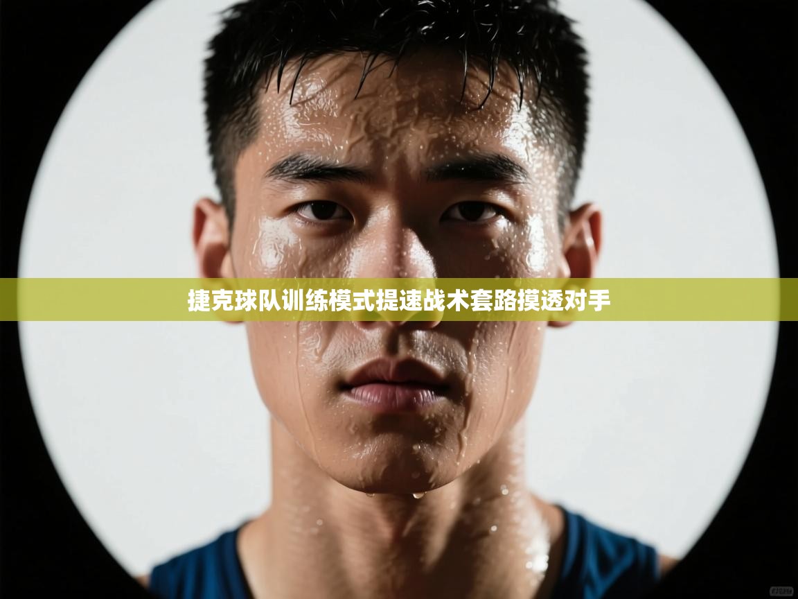 捷克球队训练模式提速战术套路摸透对手 第2张