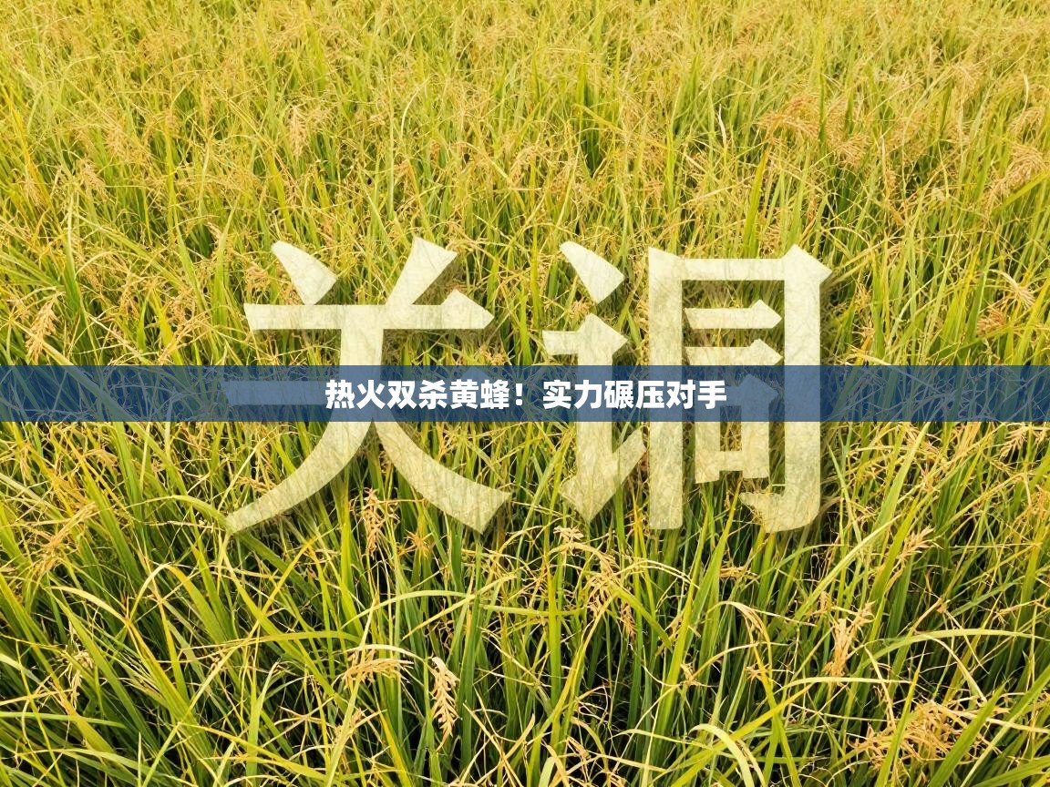 热火双杀黄蜂！实力碾压对手  第2张