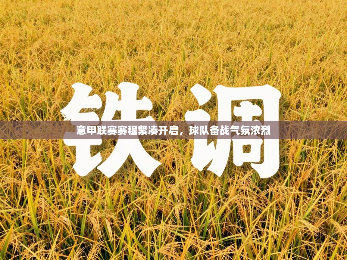 意甲联赛赛程紧凑开启，球队备战气氛浓烈  第2张